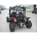 2 Sitz Racing Dune Buggy Go Kart Racing (Kd 250gka-2z